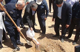 جنگل کاری هلدینگ میدکو